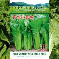 青華小白菜種子200g袋裝色量綠口感翠嫩無纖維品質(zhì)好蔬菜種子批發(fā)