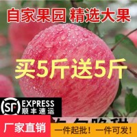 【順豐包郵 】山西丑蘋(píng)果冰糖心脆甜多汁紅富士水果5/10斤包郵。