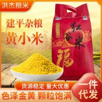 黃小米10斤裝批發(fā)散裝遼寧朝陽新小米農(nóng)家五谷雜糧紅谷米可代發(fā)