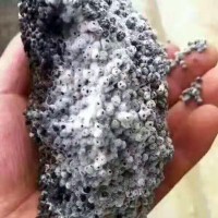 抗重茬復合微生物菌劑 有益活性菌10億/克抗病保水腐殖酸有機肥料