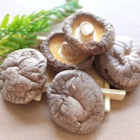 葉小玲古田縣剪腳新貨優(yōu)選香菇木耳干貨批發(fā)福建500g推薦