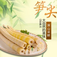 四川清水筍羅漢筍方竹筍尖火鍋串串麻辣燙食用脆筍尖尖鮮嫩小竹筍