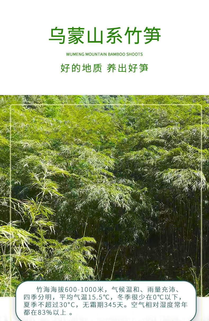 筍尖_03.jpg