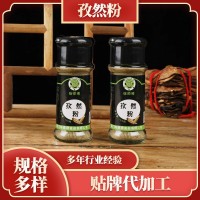徐師傅調味料散裝牛羊肉調味燒烤火鍋料52g燉湯用孜然粉批發(fā)