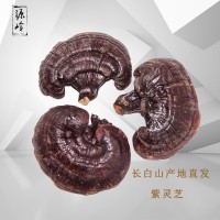 批發(fā)靈芝 長白山紫靈芝 半靈芝 東北特產(chǎn)靈芝500克20個(gè)左右