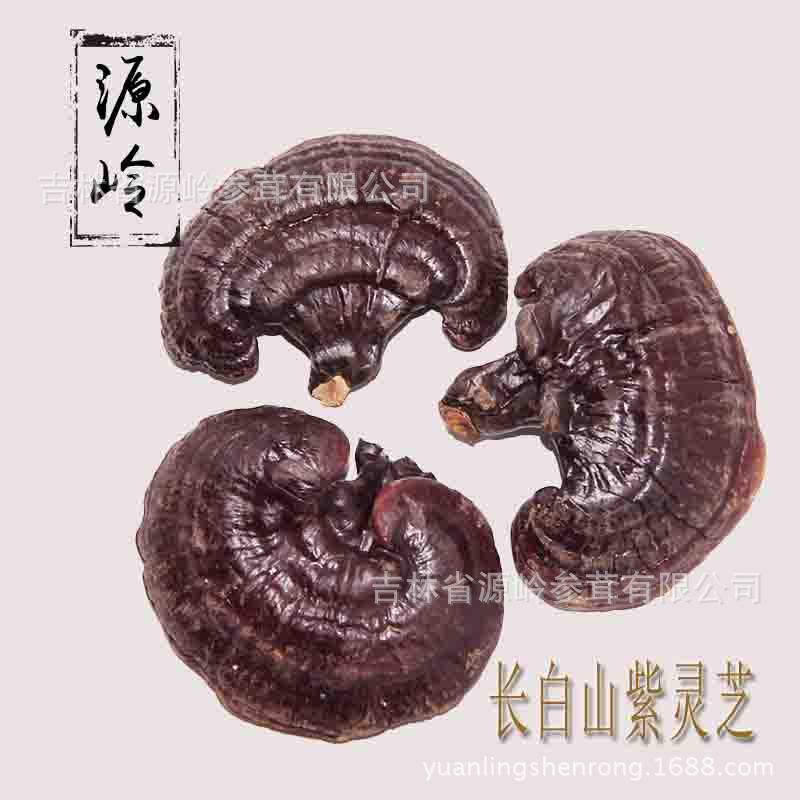 主圖1