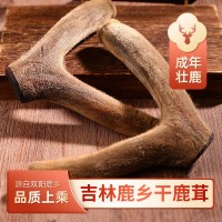 干鹿茸吉林鹿鄉(xiāng)特產(chǎn)泡酒煲湯整枝鹿茸批發(fā)銷售量大從優(yōu)批發(fā)干鹿茸