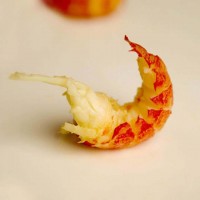 外貿(mào)小龍蝦仁帶黃無(wú)冰衣網(wǎng)紅大號(hào)小龍蝦尾肉蝦球海鮮冷凍餐飲商用