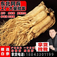 吉林長白山人參5噸生曬參過檢五年低農(nóng)殘白參東北特產(chǎn)干人參批發(fā)