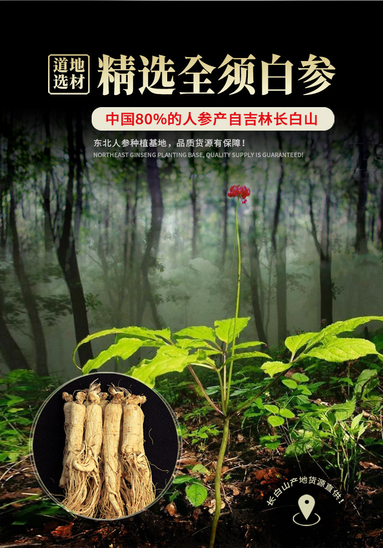 白參詳情頁(yè)02_02.jpg