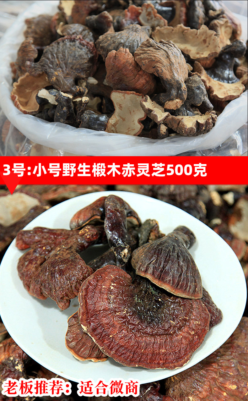 12靈芝詳情_01_14.jpg