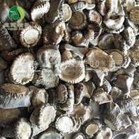 [益健]梅花鹿 鹿茸 可切連刀當(dāng)年精壯梅花鹿 整枝 鹿場直銷