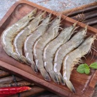 漁蝦貝海珍品鮮活冷凍青島大基圍蝦整箱新鮮對蝦海蝦活蝦大蝦批發(fā)