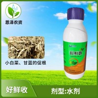 好鮮收生根劑生根液植物扦插用發(fā)根小白菜壯苗營養(yǎng)液快生根農(nóng)肥