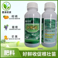 施普旺好鮮收促根壯苗?；ū９?調(diào)節(jié)生長提頭促生長 葉面肥500g