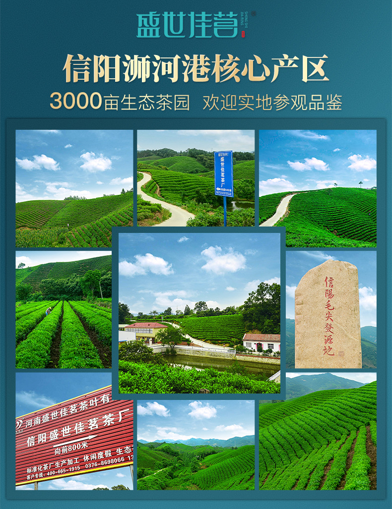 詳情頁_01.jpg