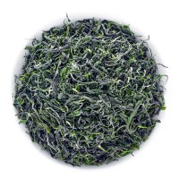 毛尖茶葉春茶信陽毛尖2023新茶雨前嫩芽散裝250g綠茶