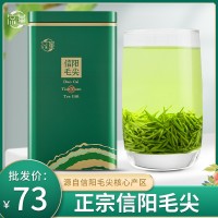 綠茶2023信陽毛尖新茶明前春茶日照高山茶葉毛尖嫩芽散裝批發(fā)250g