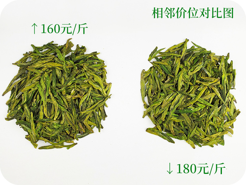 A08介紹.jpg