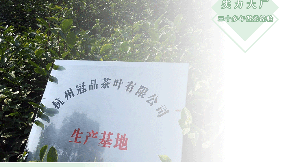 龍井40葉底-1.jpg