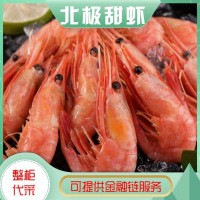 億九合 冰島進口 北極甜蝦 肉質(zhì)新鮮肥美 熟凍 解凍即食 批發(fā)  價格面議