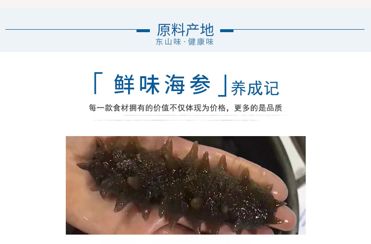 海參_07