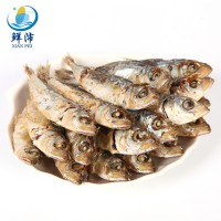 魚干 東山島海產(chǎn)淡于吧浪魚干 適合休閑食品KTV餐飲烹飪廠家批發(fā)