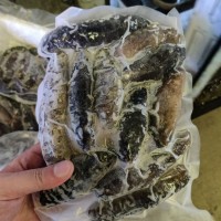 水發(fā)海參冷凍水產品1斤/包6-13頭 可刺身解凍即食海參