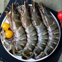 冰鮮黑虎蝦冷凍超大特大號(hào)大蝦新鮮冷凍特大老虎蝦水產(chǎn)凍貨