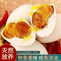 廠家直銷精品雙黃鴨蛋 白洋淀雙黃鴨蛋