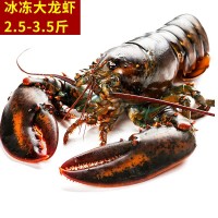 加拿大生凍冰鮮波士頓龍蝦大龍蝦 特大波龍奧龍3斤左右/只 禮盒裝