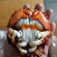 老虎蟹/凍旭蟹60/100g，100/200g，200/300g，300/400g，400/500g