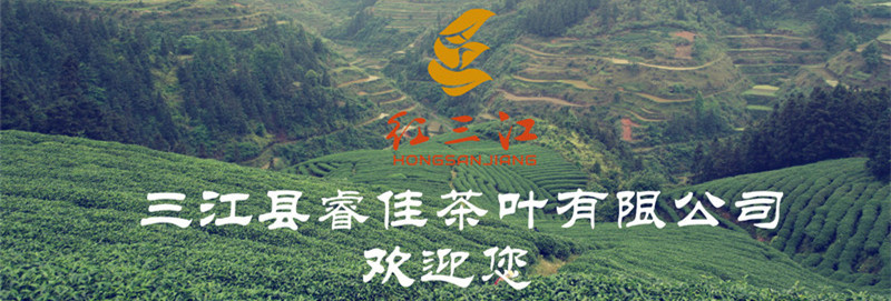 六號茶園睿佳茶葉歡迎您800寬度