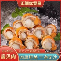 六包裝順豐包郵超大扇貝肉2040海鮮冷凍水產批發(fā)無沙現剝餐飲商用