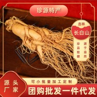 長白參鮮參保鮮參廠家批發(fā)東北特產(chǎn)量大從優(yōu)鮮參規(guī)格多泡酒煲湯人