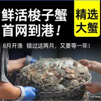 源頭廠家包郵酒店專供批發(fā)舟山梭子蟹 鮮活白蟹 非冷凍活蟹