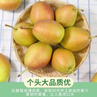 紅香酥梨子現(xiàn)摘現(xiàn)發(fā)新鮮水果脆甜小香梨5、10斤整箱批發(fā)非庫(kù)爾勒