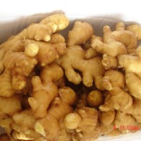 銷(xiāo)售風(fēng)干姜 廠家現(xiàn)貨銷(xiāo)售風(fēng)干姜 多規(guī)格可出口風(fēng)干姜 半風(fēng)干姜