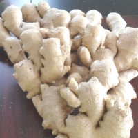 濰坊廠家加工風(fēng)干姜 多規(guī)格可出口風(fēng)干姜 山東大姜廠家現(xiàn)貨供應(yīng)