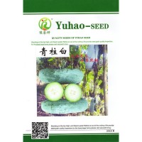 中熟水果冬瓜種子200粒青柱白