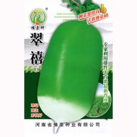 秋播速生雜交短粗圓柱形蘿卜種子翠禧50g
