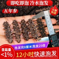 大連淡干純無鹽冷水速發(fā)海參五年參干參散裝送領(lǐng)導(dǎo)長輩實(shí)用禮品