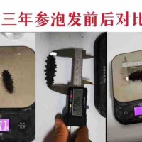 大連淡干純無鹽冷水速發(fā)海參三年參干參散裝送領(lǐng)導(dǎo)長輩實(shí)用禮品