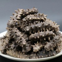 大連淡干純無鹽冷水速發(fā)海參七年參干參散裝送領(lǐng)導(dǎo)長輩實(shí)用禮品