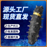 源頭廠家現(xiàn)貨海參干貨散裝批發(fā)50gFD凍干海參禮盒貨源遼參