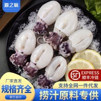 新鮮冷凍大號墨魚仔去皮去臟海捕墨魚仔批發(fā)商用