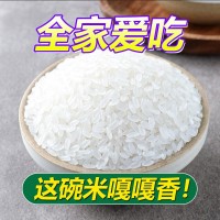 東北寒地大米當季新米群艷長粒香米10斤包郵廠家批發(fā)一件代發(fā)