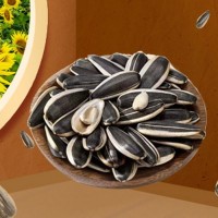 廠家批發(fā)銷售優(yōu)惠葵花籽 原味香瓜子顆顆飽滿