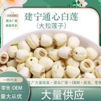 建寧龍威批發(fā)通心白蓮子大粒干貨福建特產(chǎn)蓮子去芯散裝建蓮500g