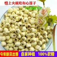 新貨福建建寧蓮子有心實心白蓮子帶心去皮白蓮500克干貨代發(fā) 批發(fā)